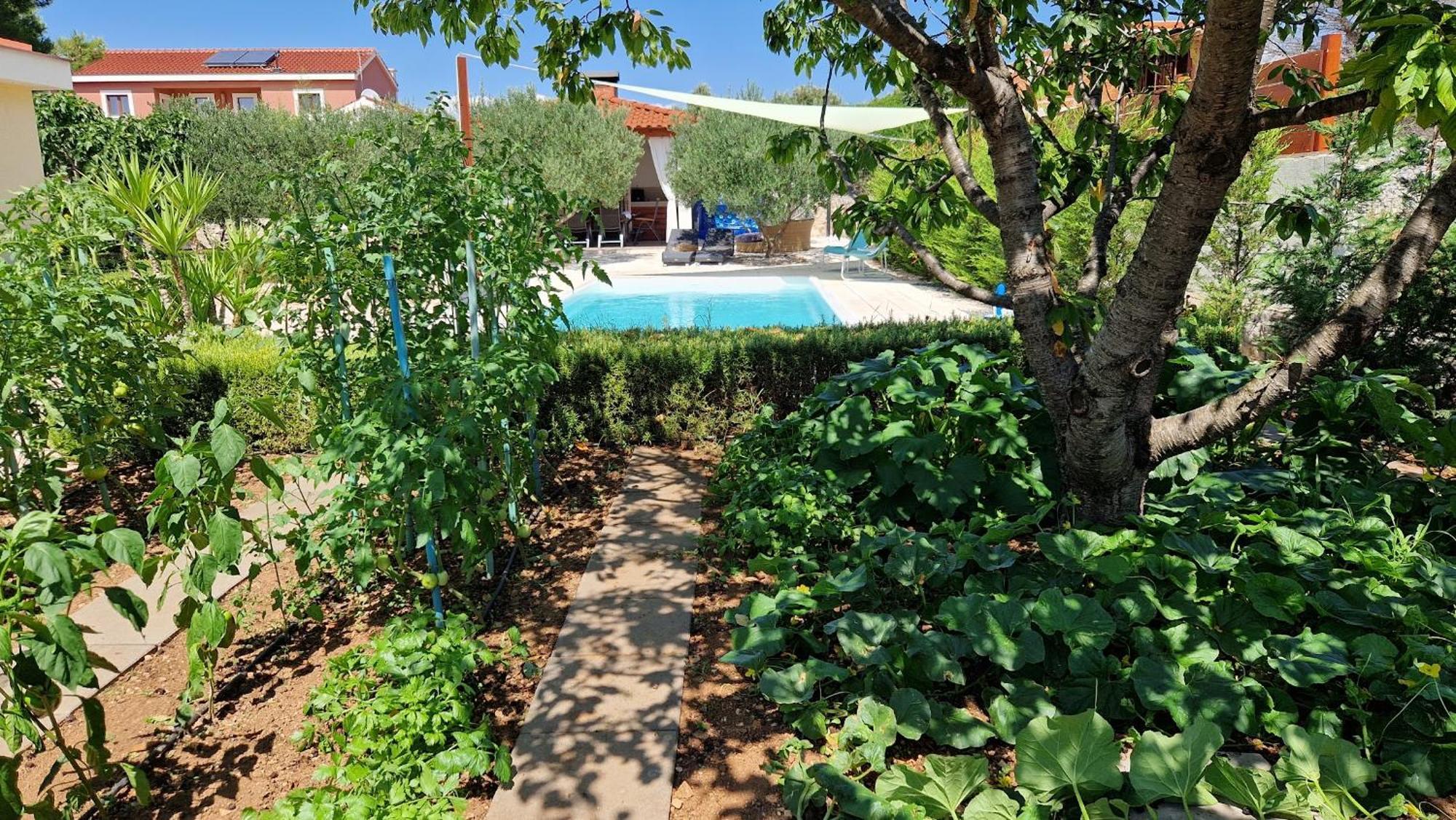 Resort Apartment Petrovic Šibenik Exteriér fotografie